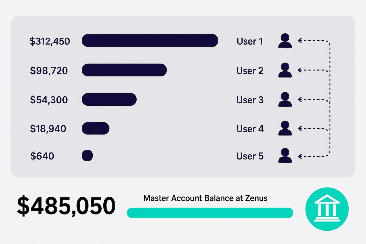 An example of Virtual Accounts