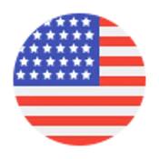 Zenus Bank USA Flag