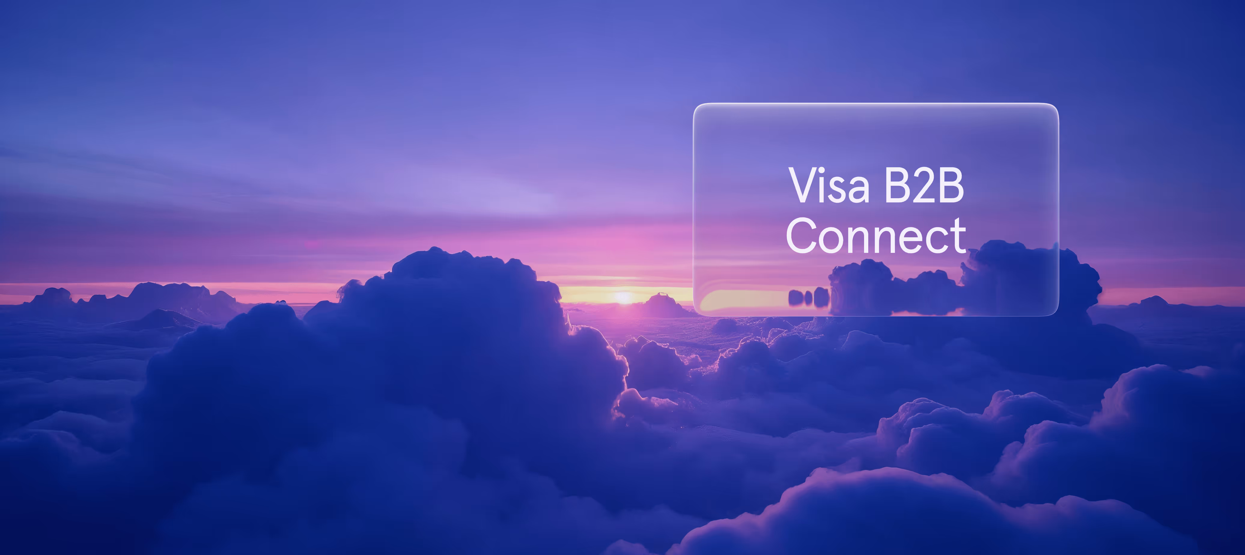 Visa B2B Connect