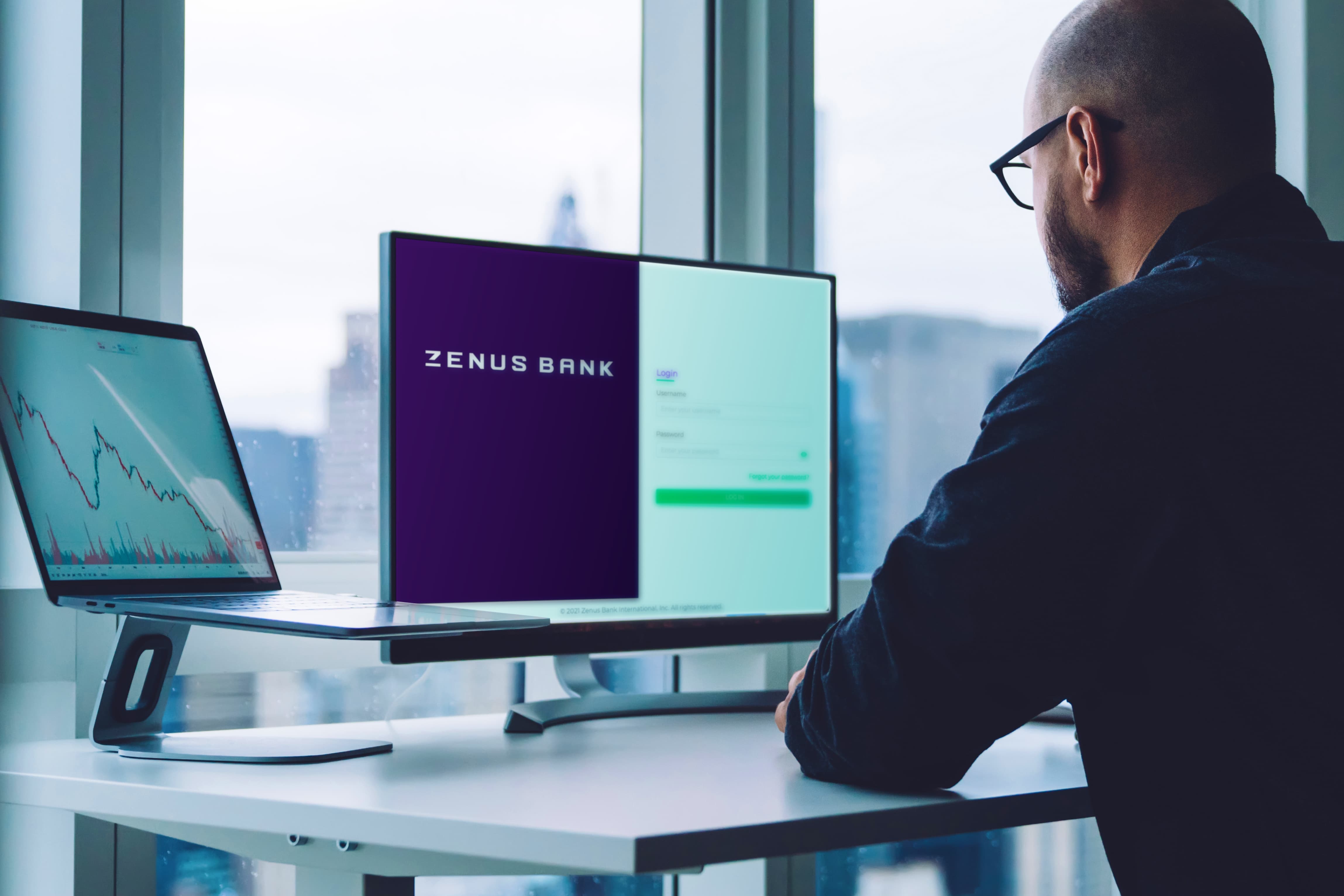 Zenus Bank Man Using Laptop Banking (1)