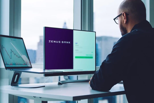 Zenus Bank Man Using Laptop Banking (1)