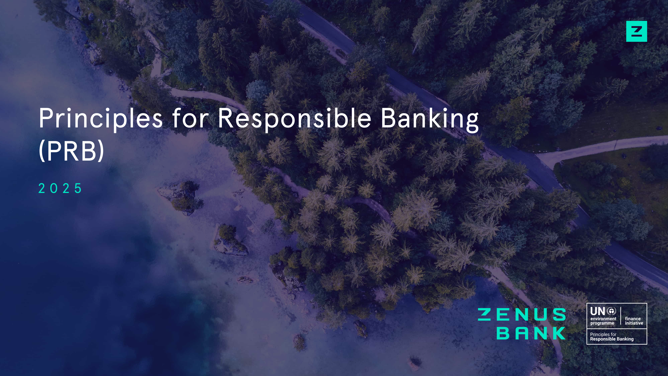 Zenus UNEP FI 2025 Report (2)