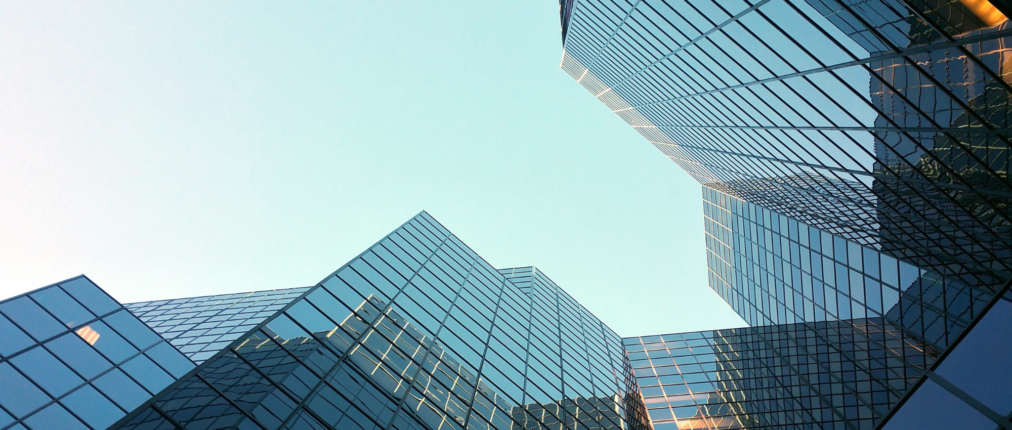 Zenus Embedded Finance non-regulated fintech