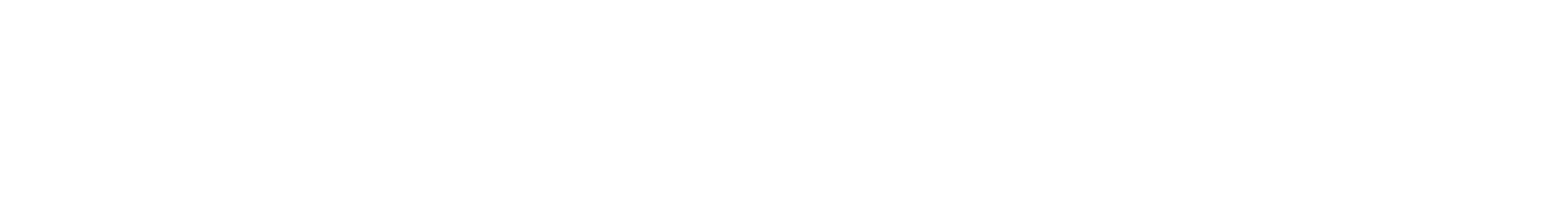 NICE Actimize Horizontal Logo Monochrome White RGB